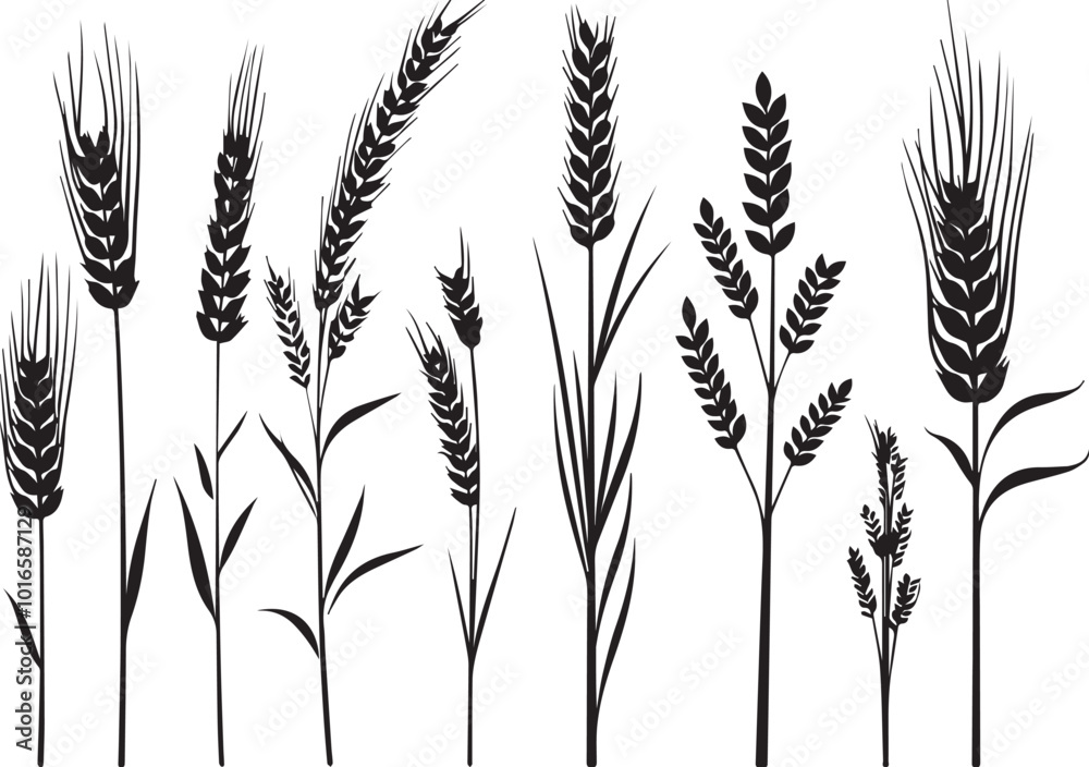 Set of minimalistic flat design wheat silhouettes. Hand drawn vector illustration Set of minimalistic flat design wheat silhouettes. Hand drawn vector illustration