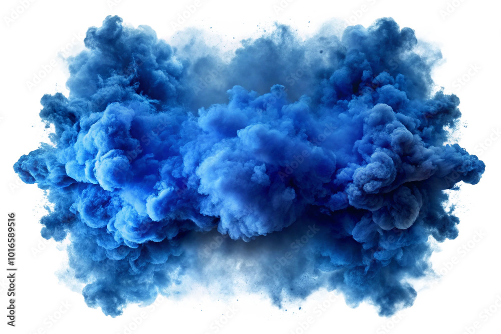 Fototapeta premium blue hyacinth isolated on white