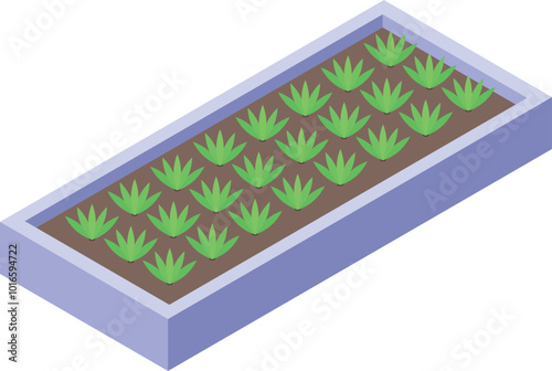 Green plants are growing in a raised bed, bringing a touch of nature to any home