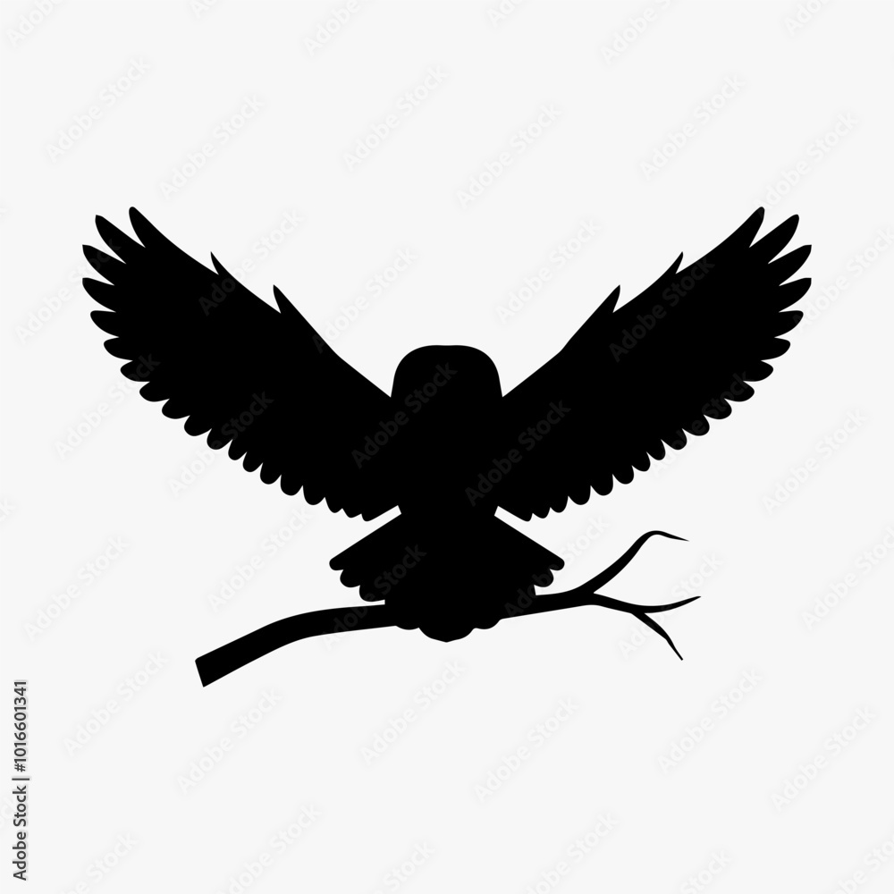 Obraz premium Midnight Sentinel: The Bold Bald Owl