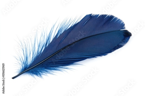 A single blue feather lying flat on a clean white surface.