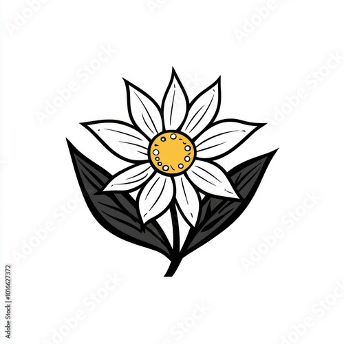 Daisy Flower Illustration.