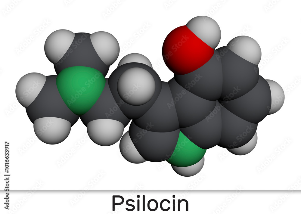 Coenzyme A, CoA, SHCoA, CoASH molecule. Essential coenzyme in fatty