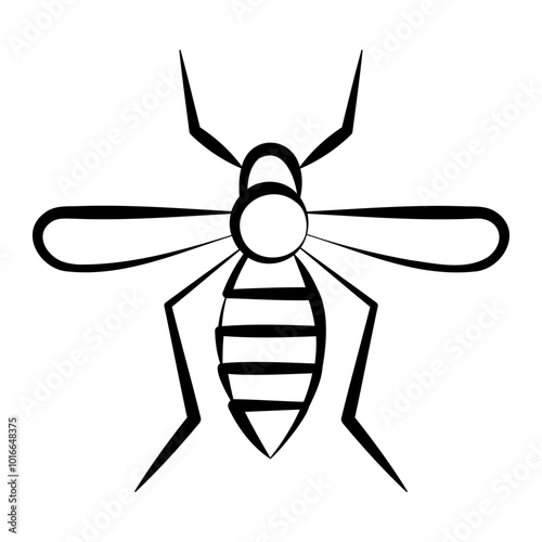 aedes mosquito