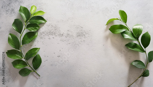 green leaves and wildflowers at the edge of the frame on a white surface. Flat. copy space