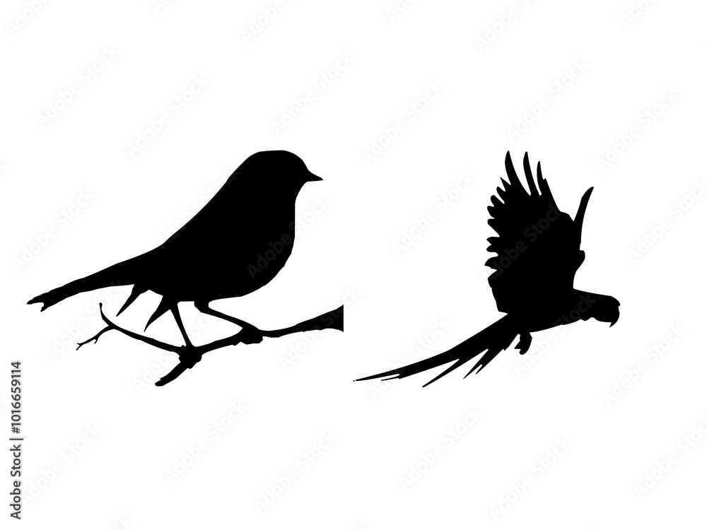 silhouette of a crow silhouette of a crow