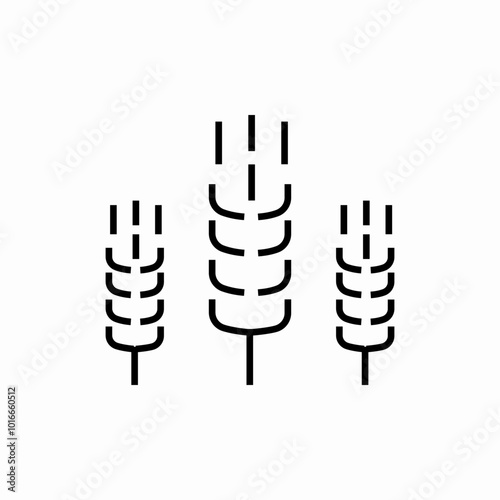 wheat barleys icon sign vector