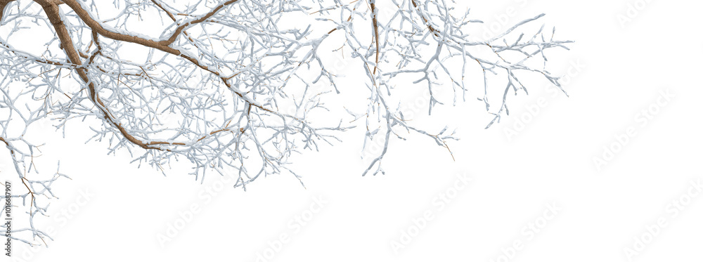 Obraz premium snow on branches isolated on transparent