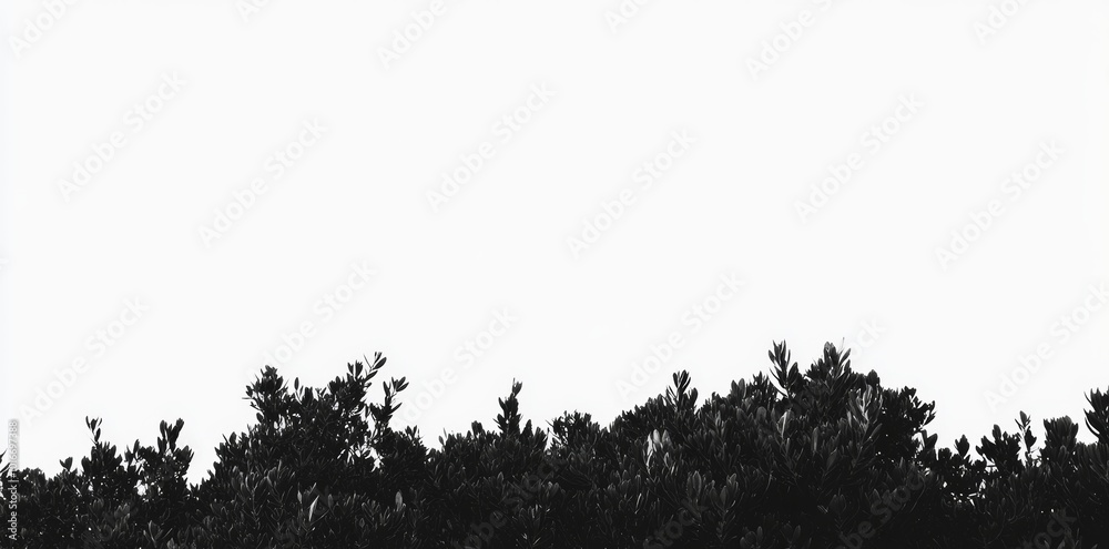 Compost heap silhouette with leaves against pristine white background illustrating eco-friendly gardening Compost heap silhouette with leaves against pristine white background illustrating eco-friendly gardening