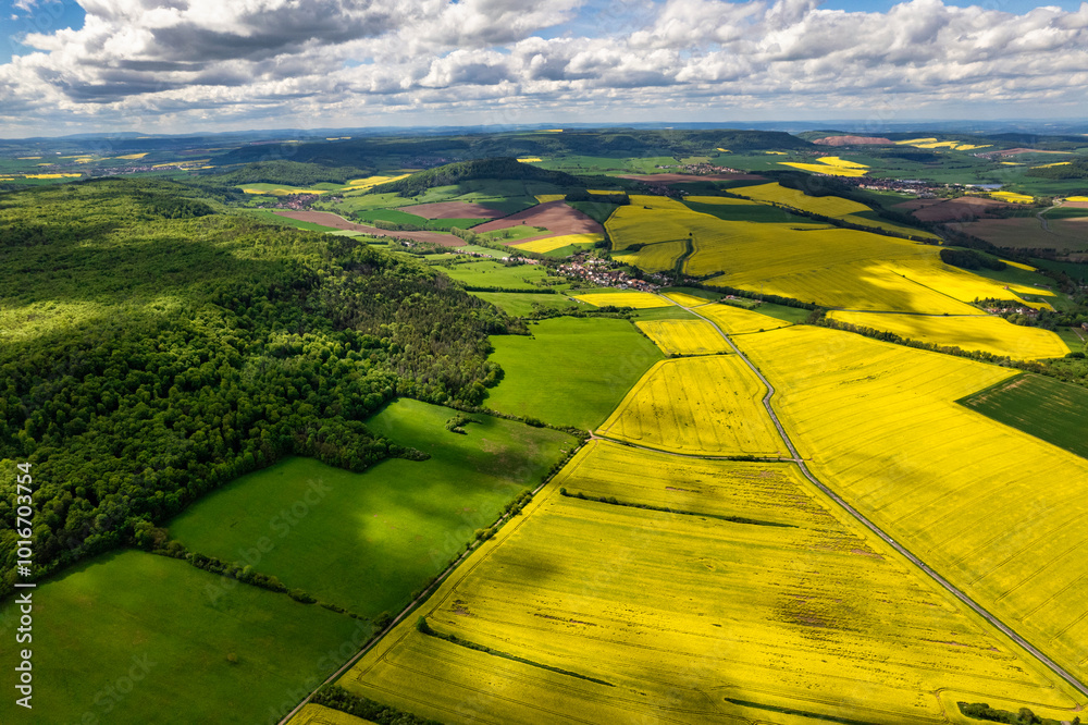 Top view of rapeseed fields. Yellow rapeseed field with stripes and abstract landscape. Germany.