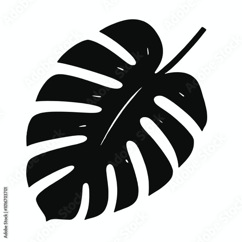 A black silhouette of a monstera leaf, isolated white background, 