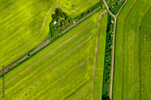 Obraz na płótnie Top view of rapeseed fields. Yellow rapeseed field with stripes and abstract landscape. Germany. w salonie