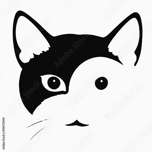 A close-up portrait of a black and white cat with piercing eyes 