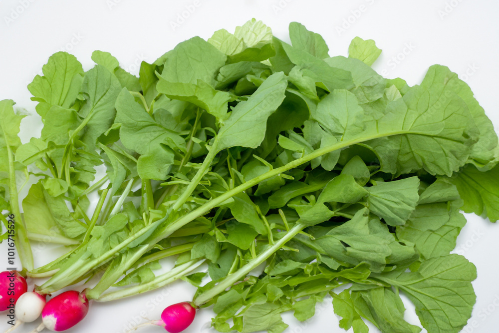 A plate of food with radish, greens and vegetables. Green fresh healthy concept. Greenery and radish with food on white. Greens and radish with greens in a lifestyle white with food. A plate of food with radish, greens and vegetables. Green fresh healthy concept. Greenery and radish with food on white. Greens and radish with greens in a lifestyle white with food.
