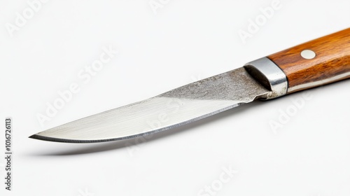 Close-up of a sharp kitchen knife with a wooden handle on a white background, showing intricate details of the blade and handle. photo