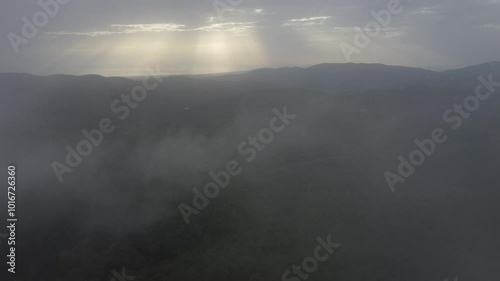 Foggy drone flight 4k above forest, Chalkidiki Greece
