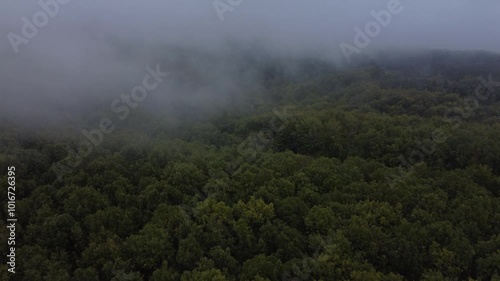 Low drone flight 4k above trees, Chalkidiki Greece
