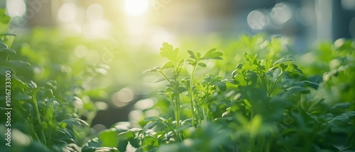 Close up view of a hydroponic farming system with automated watering and monitoring technology showcasing a sustainable and efficient solution for indoor soil less food production