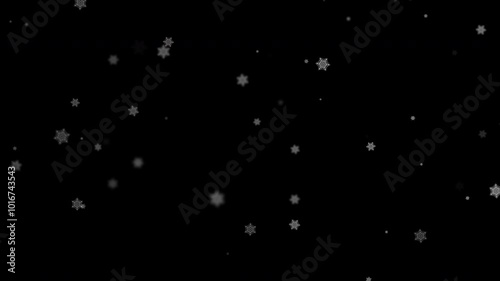 white snow flake falling on black background 