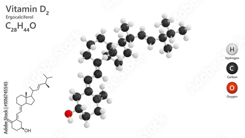 Vitamin D2, or ergocalciferol (C28H44O), is a vitamin derived from yeast and fungi exposed to ultraviolet light. It plays a vital role in calcium and phosphorus metabolism. White back. 3d illustration photo