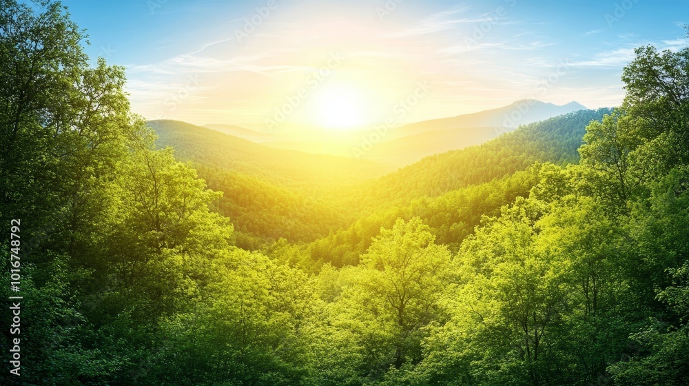 Fototapeta premium Sunlit Mountain Forest Landscape with Green Trees and Blue Sky