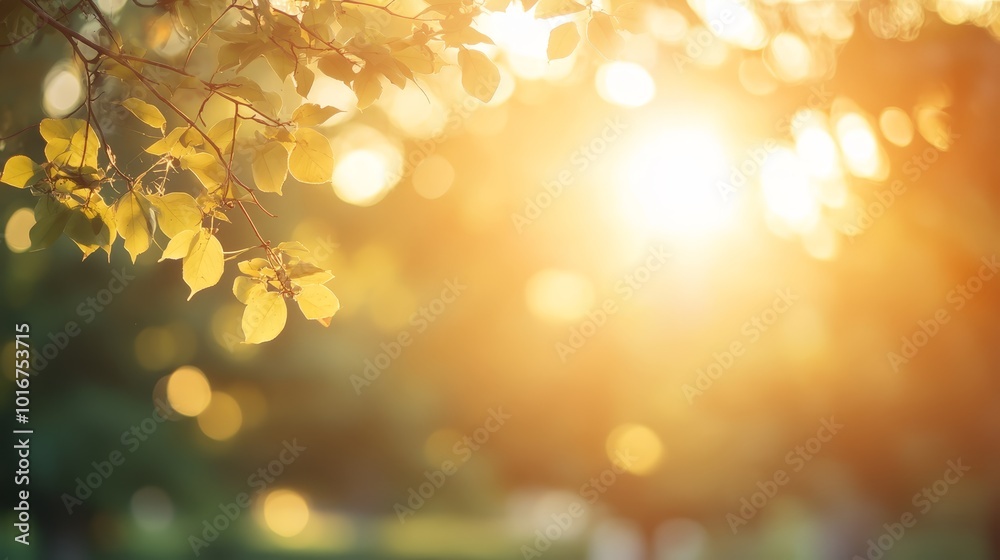 Sunbeams Through Leaves Golden Sunlight Nature Background Sunbeams Through Leaves Golden Sunlight Nature Background