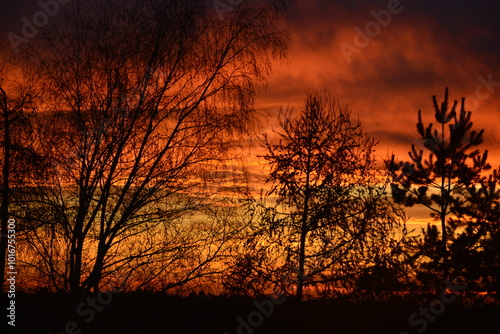 Sunset with the cloudy and colorful sky and trees in the park