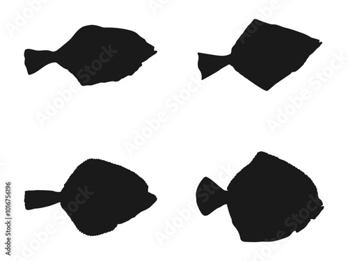 Flounder fish silhouette. Flounder Fish  Silhouette Found In Map Of Northern Atlantic and Pacific Oceans. Silhouette of flounder. Hand drawn vector illustration isolated on white background.