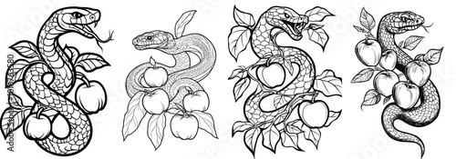 This snake with apples is a hand drawn illustration converted to a modern look. Works great for t-shirts and tattoo sketches.