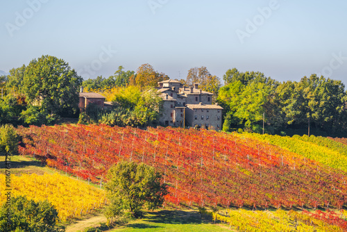 Obraz na płótnie Castelvetro, Modena, Emilia Romagna, Italy. Sunset over the vineyards w salonie
