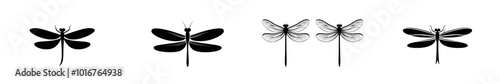 Streamlined and Simple Silhouette - A Modern Illustration of a Dragonfly