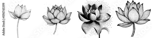 An illustration of a flower with radiology stipple effect for grunge punk y2k collages. Vintage halftone brutalist design for a banner or poster.