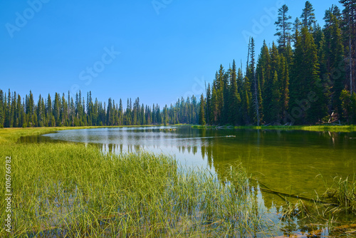 The Deschutes River near Bend Oregon.