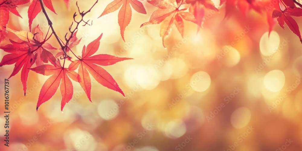 Autumn background with red maple leaves and blurred bokeh light on a vintage color tone background autumn leaf outdoors. Autumn background with red maple leaves and blurred bokeh light on a vintage color tone background autumn leaf outdoors.