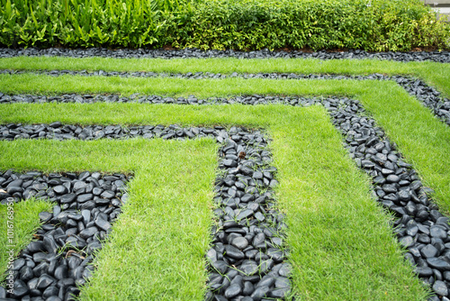 garden, Backyard green grass and vlack stone.close up summer pattern. photo