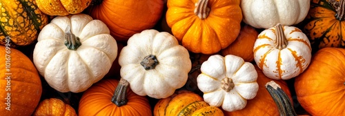  A heap of white and orange pumpkins atop an amassment of other orange and white pumpkins photo