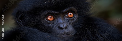  A tight shot of a black monkey's visage, characterized by bold orange eyes against a hazy backdrop of leafy greens