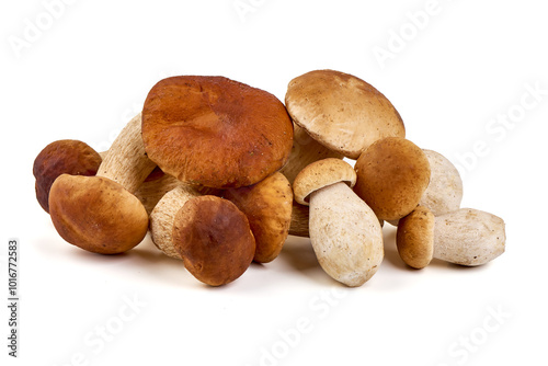 Boletus edulis, porcini (king bolete) isolated on white background. Close up. photo