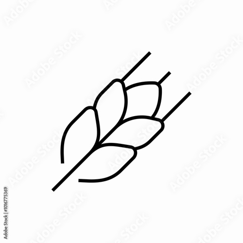wheat barley icon sign vector