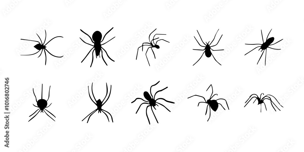 Spiders. Black bug spider silhouette. Scary Halloween animal arachnid, creepy dangerous insect, arachnophobia fear. Vector illustration Spiders. Black bug spider silhouette. Scary Halloween animal arachnid, creepy dangerous insect, arachnophobia fear. Vector illustration