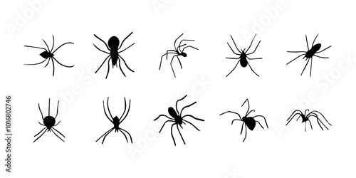 Spiders. Black bug spider silhouette. Scary Halloween animal arachnid, creepy dangerous insect, arachnophobia fear. Vector illustration