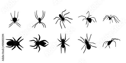 Spiders. Black bug spider silhouette. Scary Halloween animal arachnid, creepy dangerous insect, arachnophobia fear. Vector illustration