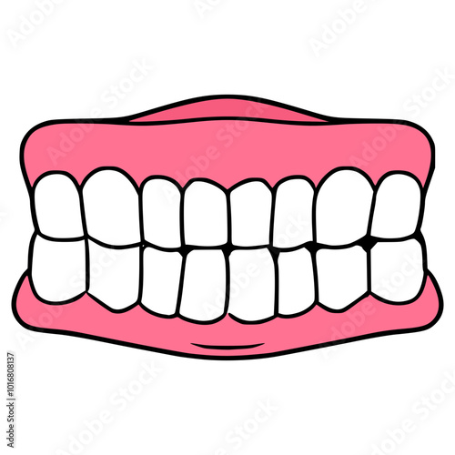 dentures illustration hand drawn isolated vector