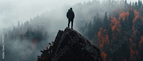  A person atop a mountaineous peak gazes over a fog-enshrouded forest, where trees dot the foreground photo