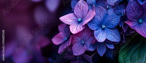  A tight shot of an assortment of flowers, with purple and blue blooms at the center, surrounded by verdant leafy foliage within the petals