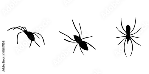 Spiders. Black bug spider silhouette. Scary Halloween animal arachnid, creepy dangerous insect, arachnophobia fear. Vector illustration