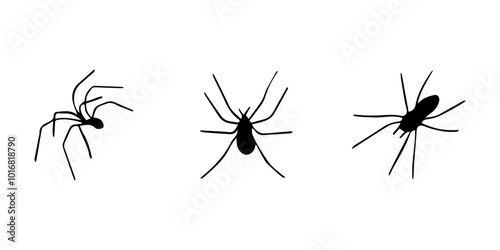 Spiders. Black bug spider silhouette. Scary Halloween animal arachnid, creepy dangerous insect, arachnophobia fear. Vector illustration