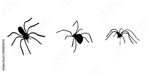 Spiders. Black bug spider silhouette. Scary Halloween animal arachnid, creepy dangerous insect, arachnophobia fear. Vector illustration