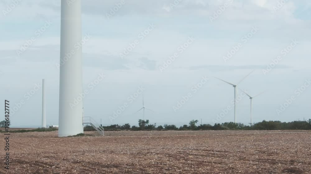 A wind farm with three wind turbines in the background A wind farm with three wind turbines in the background