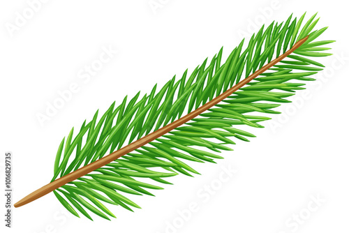 pine branch isolated on white background